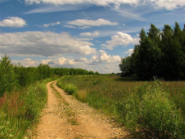 Co oznacza sen o drodze