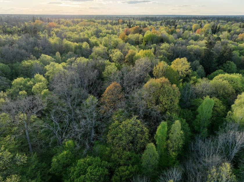 Podlaski Bon Turystyczny 2025: 300 zł na wakacje