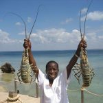 Niebezpieczna podróż do Mozambiku
