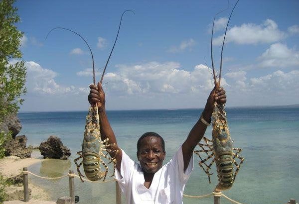 Niebezpieczna podróż do Mozambiku