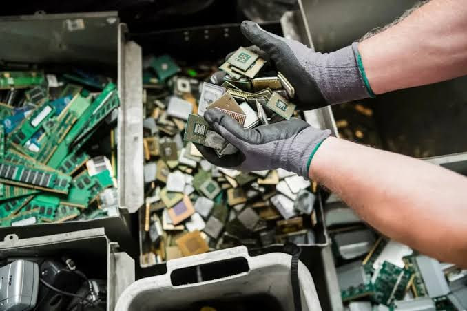 Castorama rozdaje wrzosy za elektrośmieci