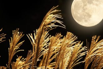 Pełnia Księżyca Zbiorów i superpełnia w październiku 2025 roku