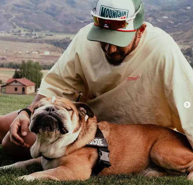 Lewis Hamilton potwierdza śmierć psa Roscoe'a