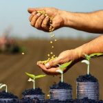 Kredyty dla rolników: 700 milionów złotych