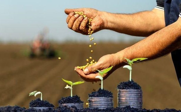 Kredyty dla rolników: 700 milionów złotych